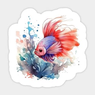 Betta Fish Sticker